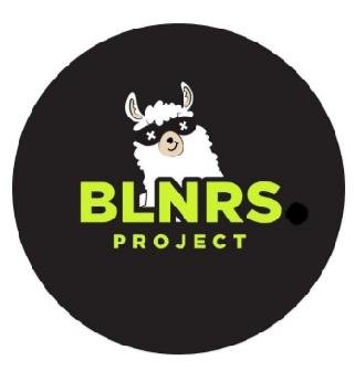 Trademark BLNRS PROJECT