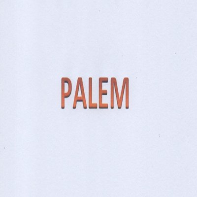 Trademark PALEM