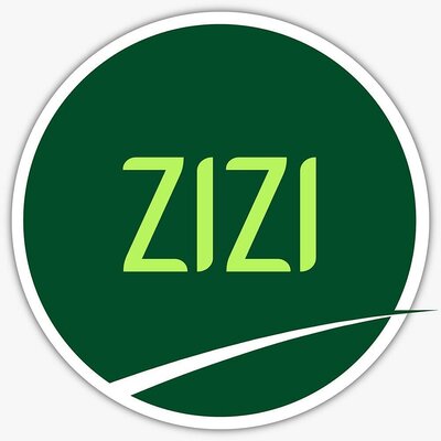 Trademark ZIZI