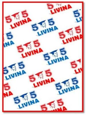 Trademark 55 LIVINA + Lukisan