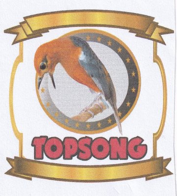 Trademark TOPSONG dan Lukisan