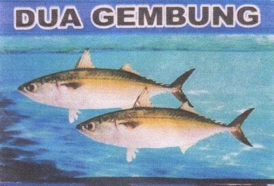 Trademark DUA GEMBUNG