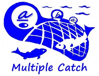 Trademark Multiple Catch