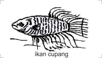 Trademark IKAN CUPANG