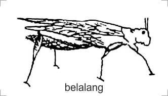 Trademark BELALANG + LUKISAN