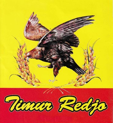 Trademark TIMUR REDJO