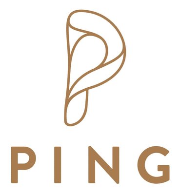 Trademark PING + LOGO