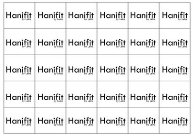 Trademark HANIFIT