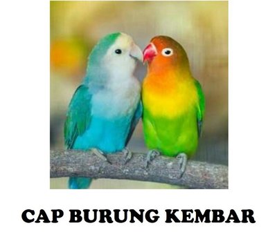 Trademark CAP BURUNG KEMBAR DAN LUKISAN