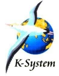 Trademark K-SYSTEM LOGO