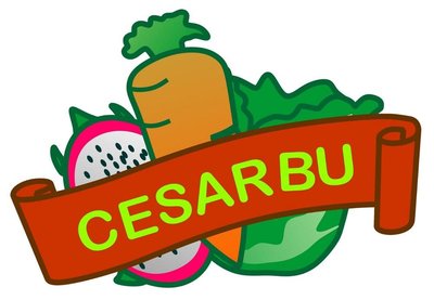 Trademark CESARBU