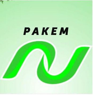 Trademark PAKEM