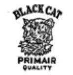 Trademark BLACK CAT PRIMAIR QUALITY DAN LUKISAN