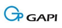 Trademark GAPI + LOGO