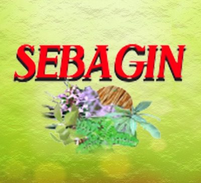 Trademark SEBAGIN