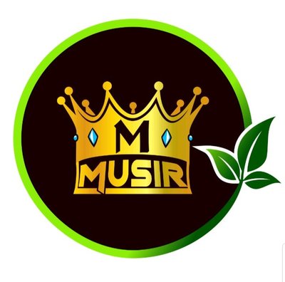 Trademark MUSIR