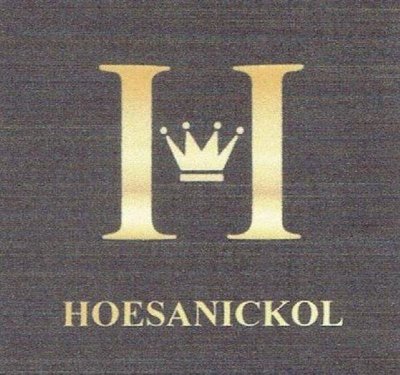 Trademark HOESANICKOL + LOGO