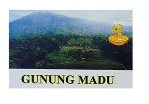 Trademark GUNUNG MADU + LUKISAN