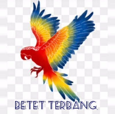 Trademark BETET TERBANG