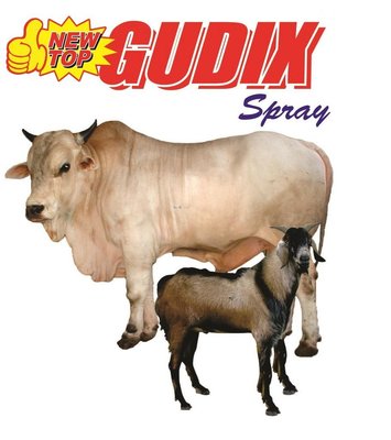 Trademark NEW TOP GUDIX SPRAY