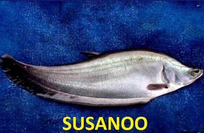 Trademark SUSANOO + Logo Ikan