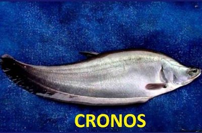 Trademark CRONOS + Logo Ikan