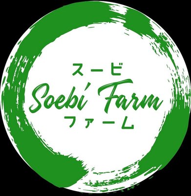 Trademark SOEBI FARM