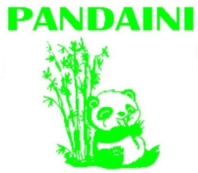 Trademark PANDAINI