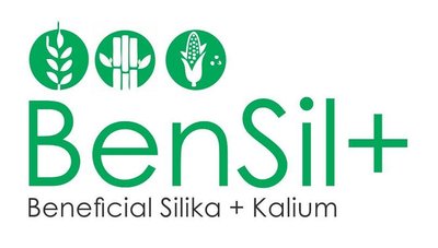 Trademark BenSil+ dan Logo