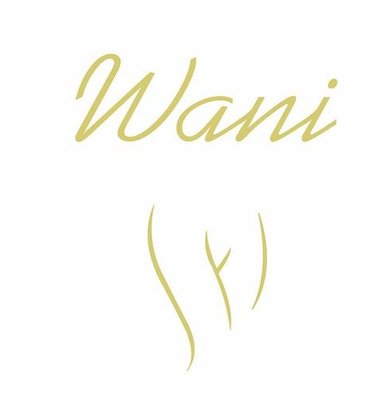 Trademark WANI DAN LOGO