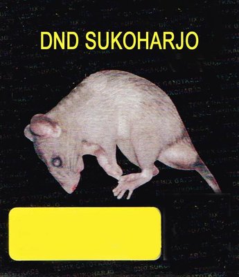 Trademark DND SUKOHARJO