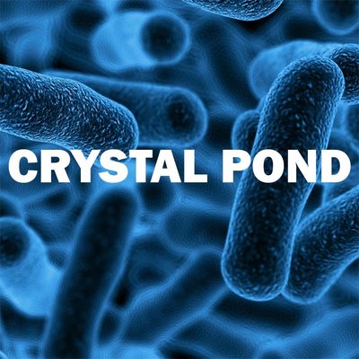 Trademark CRYSTAL POND