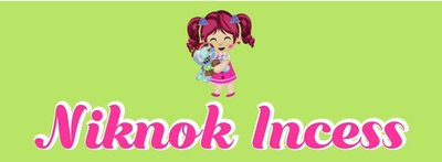 Trademark NIKNOK INCESS