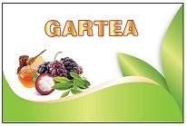 Trademark GARTEA