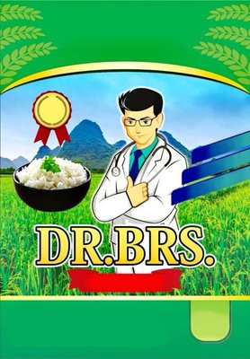 Trademark DR.BRS