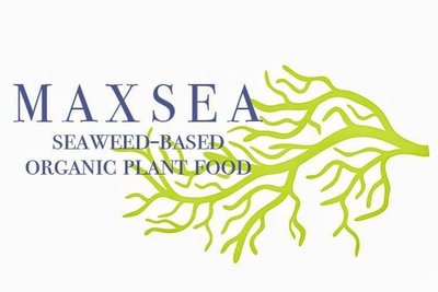 Trademark MAXSEA