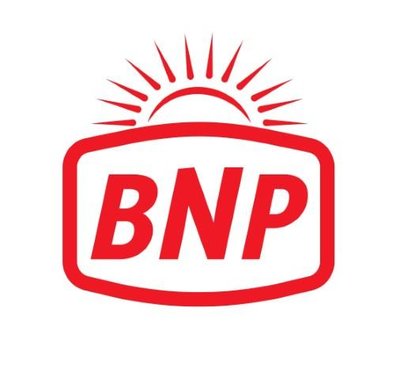 Trademark BNP & Logo