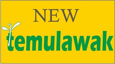 Trademark NEW TEMULAWAK