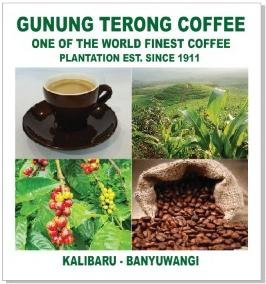 Trademark GUNUNG TERONG COFFEE + LUKISAN/LOGO