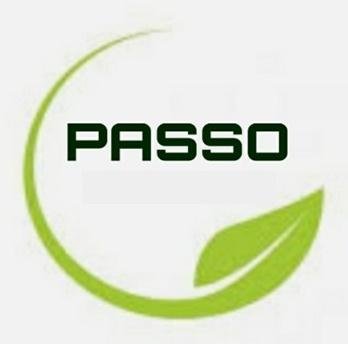 Trademark PASSO + LOGO