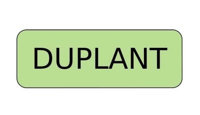 Trademark DUPLANT