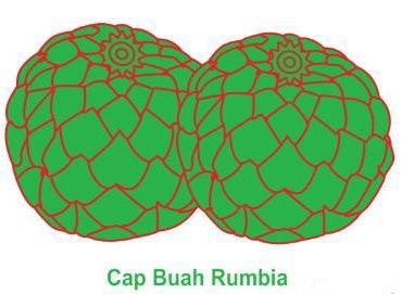 Trademark Cap Buah Rumbia