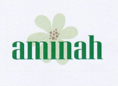 Trademark AMINAH