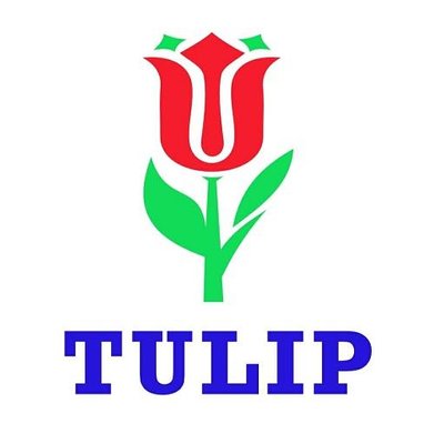 Trademark Tulip