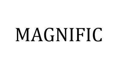 Trademark MAGNIFIC