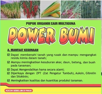 Trademark POWER BUMI