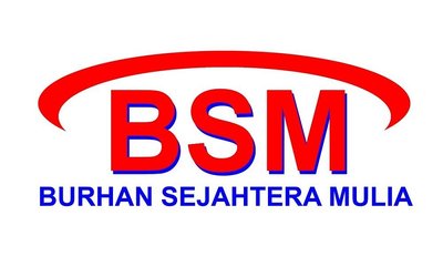 Trademark BSM