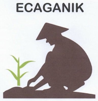 Trademark ECAGANIK