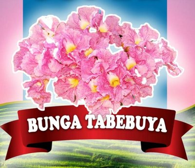 Trademark BUNGA TABEBUYA