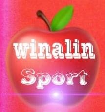 Trademark WINALIN SPORT + LOGO